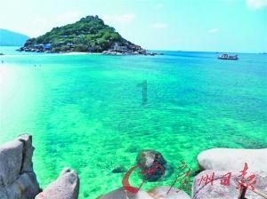 办年货 接福字!青岛市残联组织“推着轮椅赶年集”活动