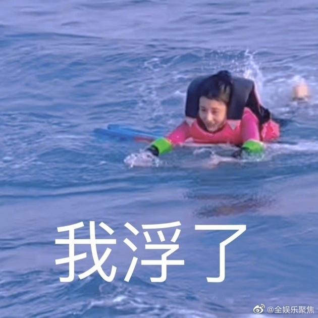 引球进框选关版