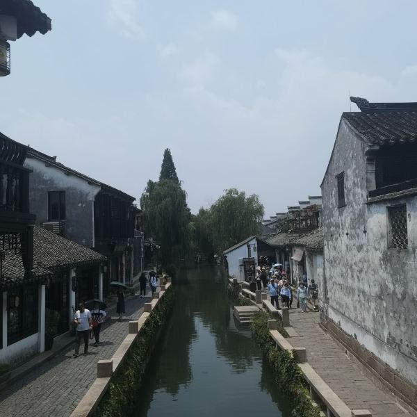 学习插花艺术